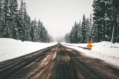 白雪覆盖的松树之间的灰色水泥路